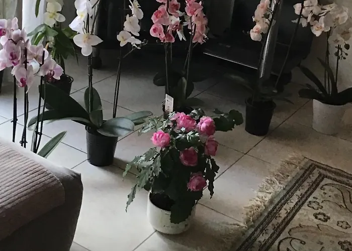 Проживание в семье Port Quartier Antiquaire