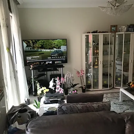 Port Quartier Antiquaire