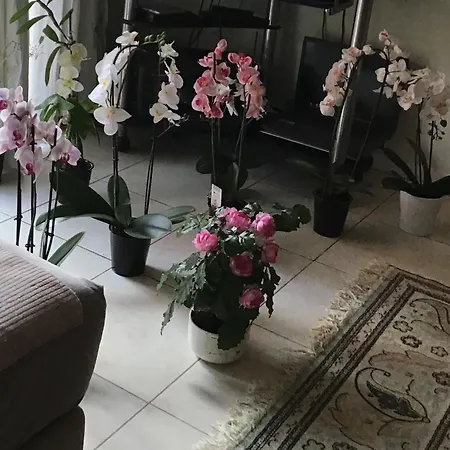 Homestay szállás Port Quartier Antiquaire