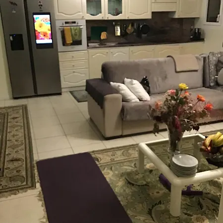 Port Quartier Antiquaire *